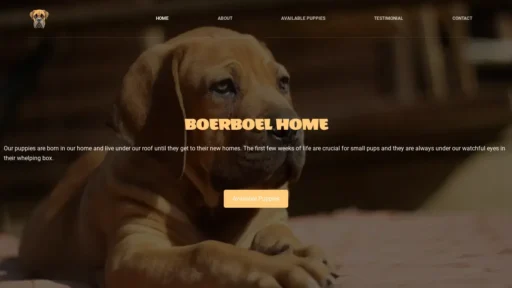 Scam Website Screenshot Boerboelhome.com