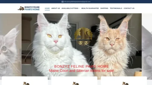 Scam Website Screenshot Bonzyzfelinepawshome.com