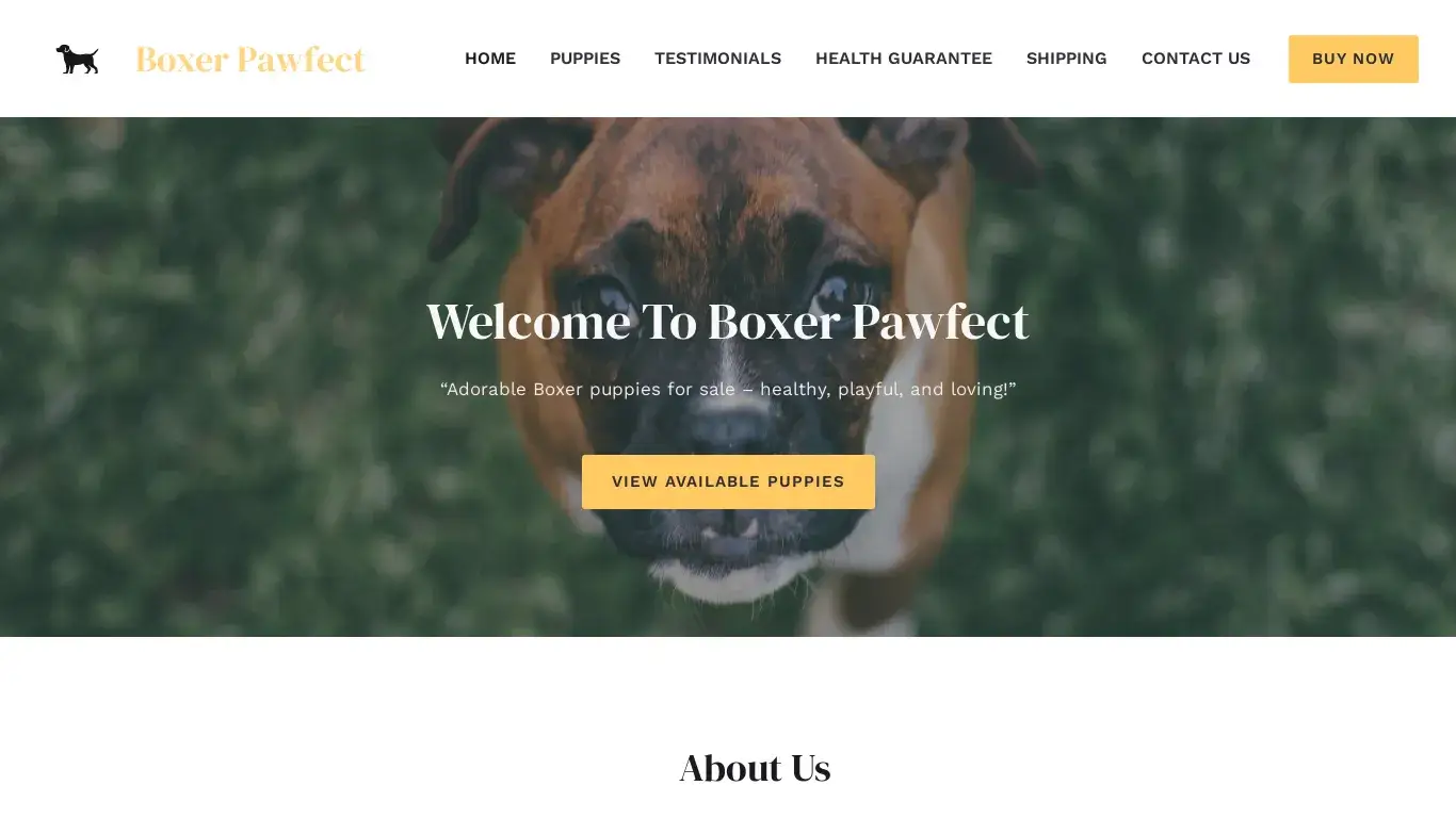 is Boxer Pawfect – Purebreed Boxer Puppies For Sale legit? screenshot