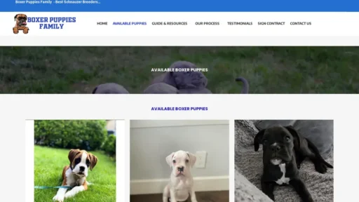 Scam Website Screenshot Boxerpuppiesfamily.com