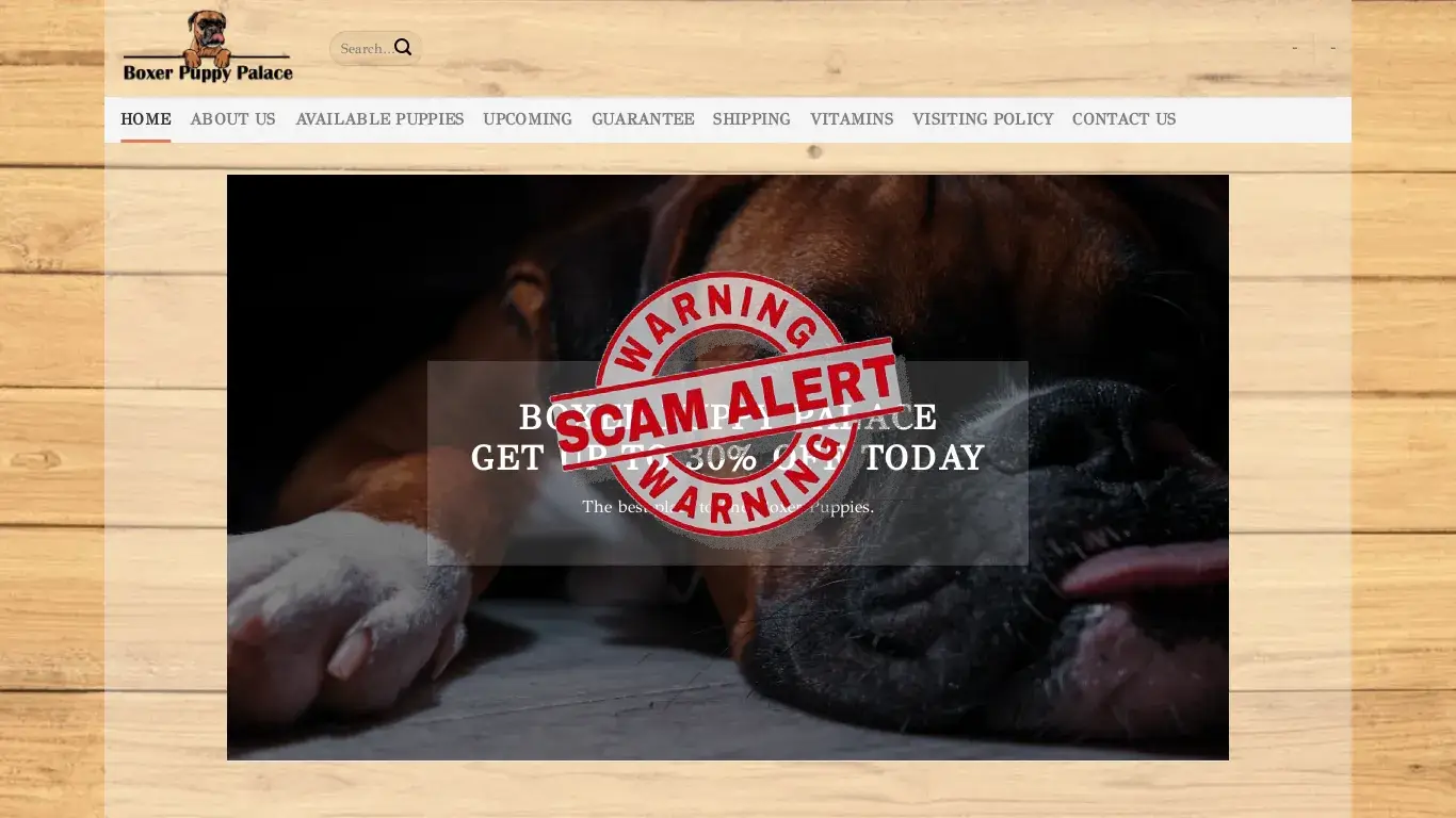 is BOXER PUPPY PALACE – The best place to buy healthily bred Boxer puppies online. legit? screenshot