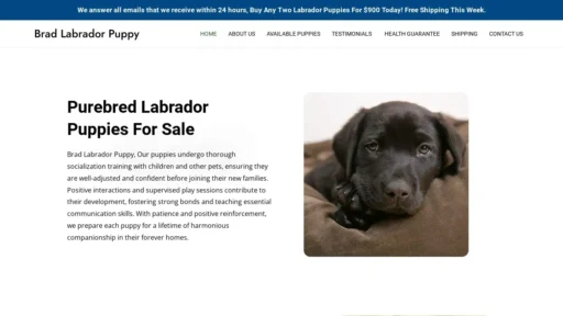 Scam Website Screenshot Bradlabradorpuppy.com