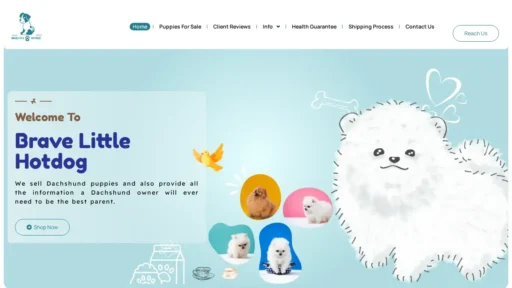 Scam Website Screenshot Bravelittlehotdog.com