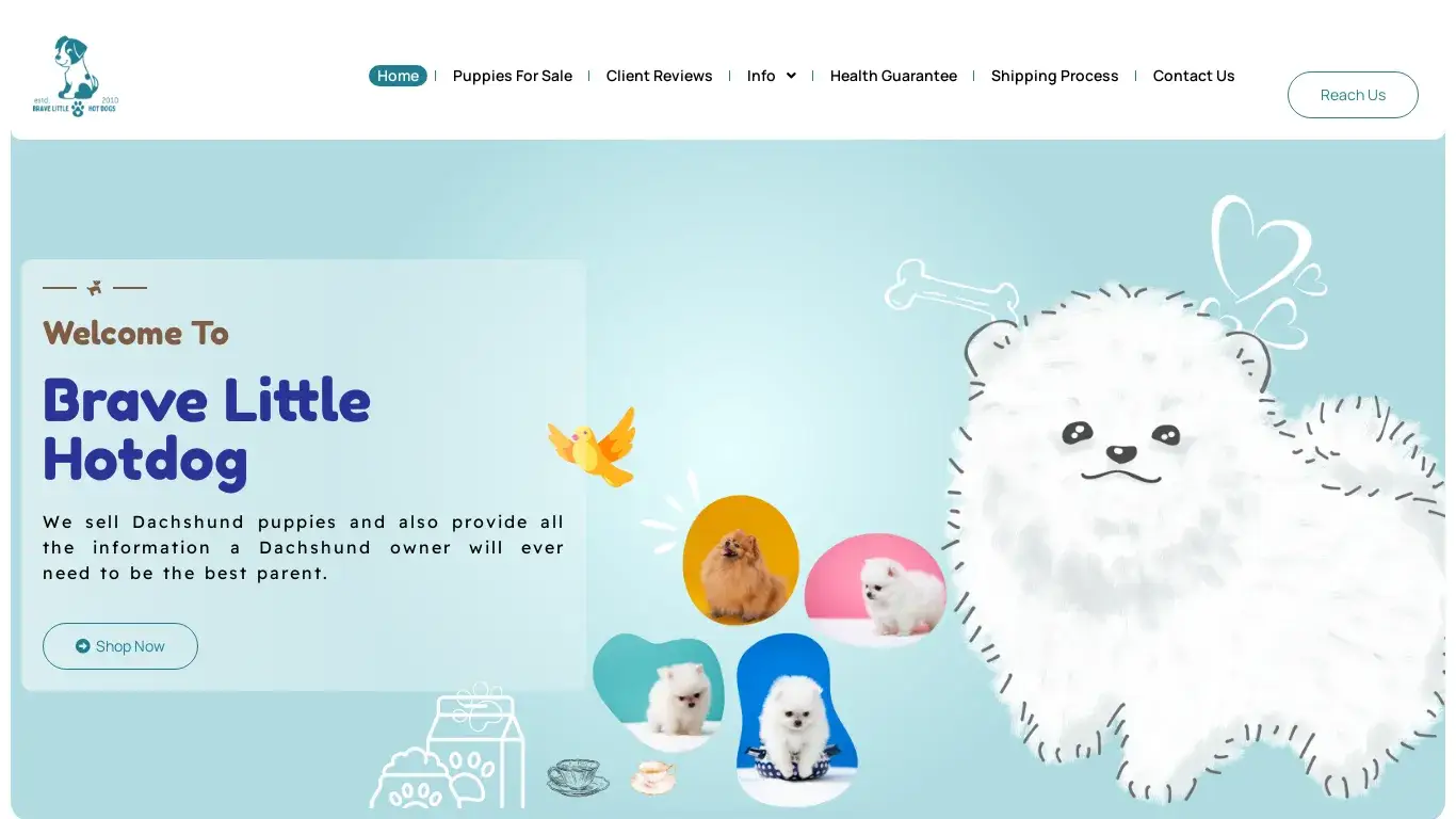 is Brave Little Hot Dog – Puppies for sale! legit? screenshot
