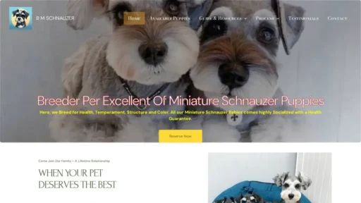 Scam Website Screenshot Bravosminiatureschnauzers.com