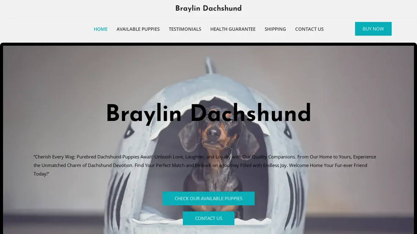 is Braylin Dachshund – Purebred Dachshund Puppies For Sale legit? screenshot