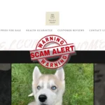 breed ershaven co za