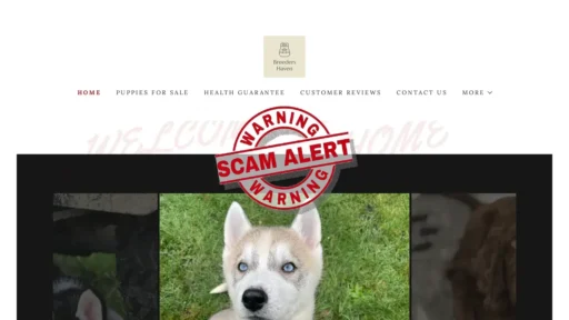 Scam Website Screenshot Breedershaven.co.za