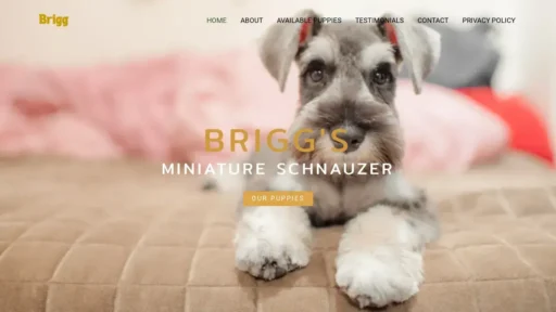 Scam Website Screenshot Briggsminiatureschnauzerpuppies.shop