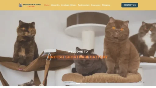 Scam Website Screenshot Britishshorthairscattery.com