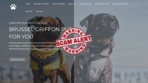 Scam Website Screenshot Brusselsgriffonpupsforyou.com