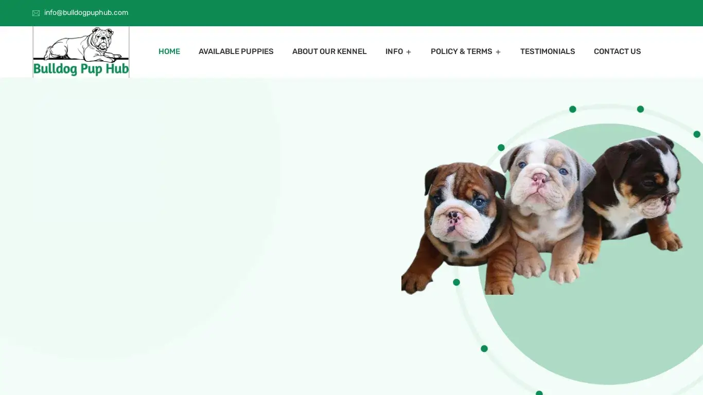 is Bulldog Pup Hub – Purebred English bulldog puppies For Sale legit? screenshot