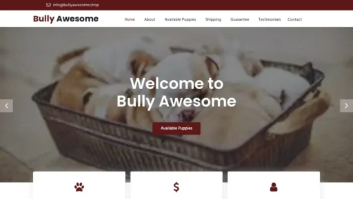 Scam Website Screenshot Bullyawesome.shop