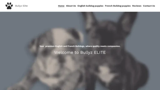 Scam Website Screenshot Bullyz-elite.com