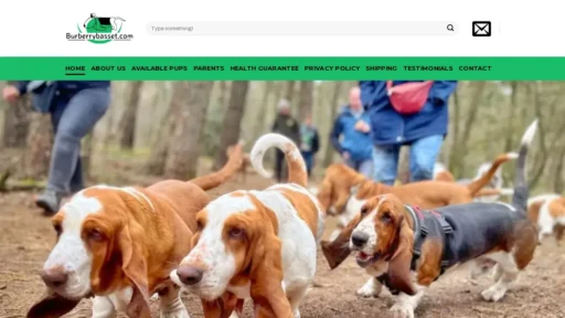Scam Website Screenshot Burberrybasset.com