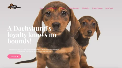 Scam Website Screenshot Buydachshundpups.com