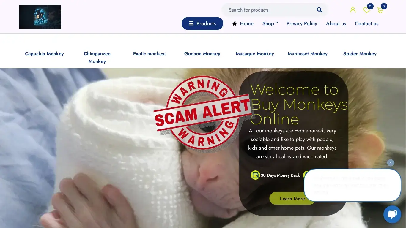 is Buy Exotic Monkeys Online | Capuchin Monkeys For Sale | Buy Monkeys legit? screenshot