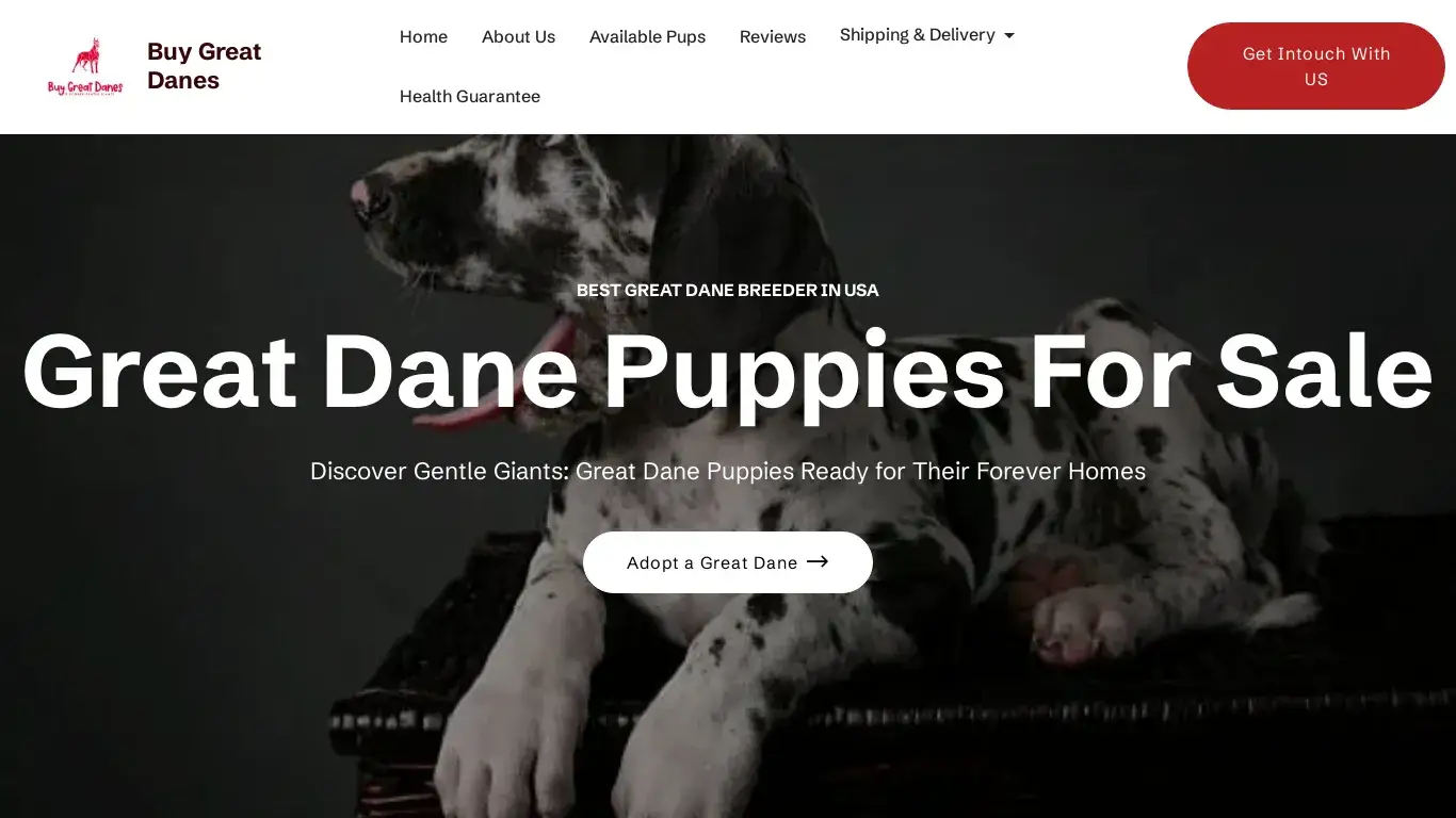 is Great Dane Puppies for Sale – Ethical Breeding & Health Guaranteed legit? screenshot