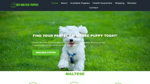 Scam Website Screenshot Buymaltesepuppies.com