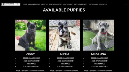 Scam Website Screenshot Canecorsospupskingdom.com