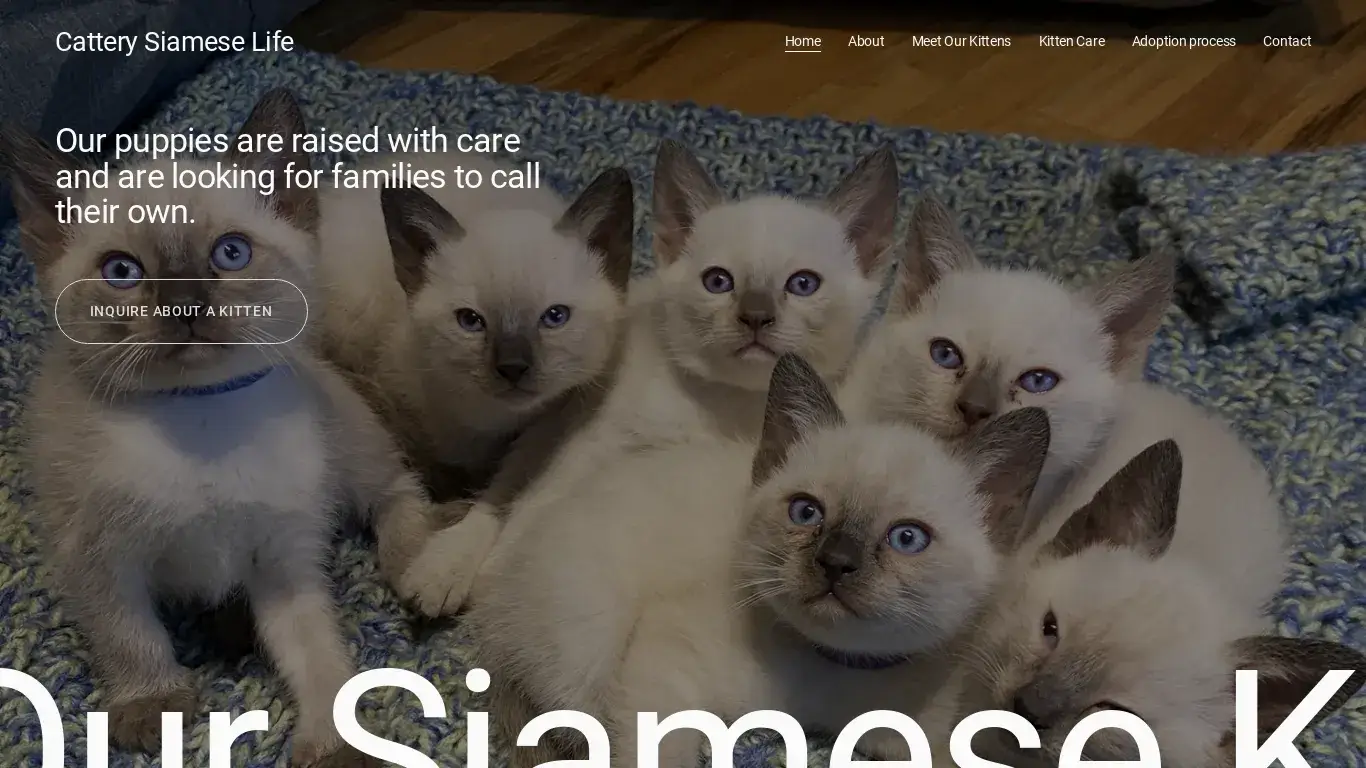is Cattery Siamese Life legit? screenshot