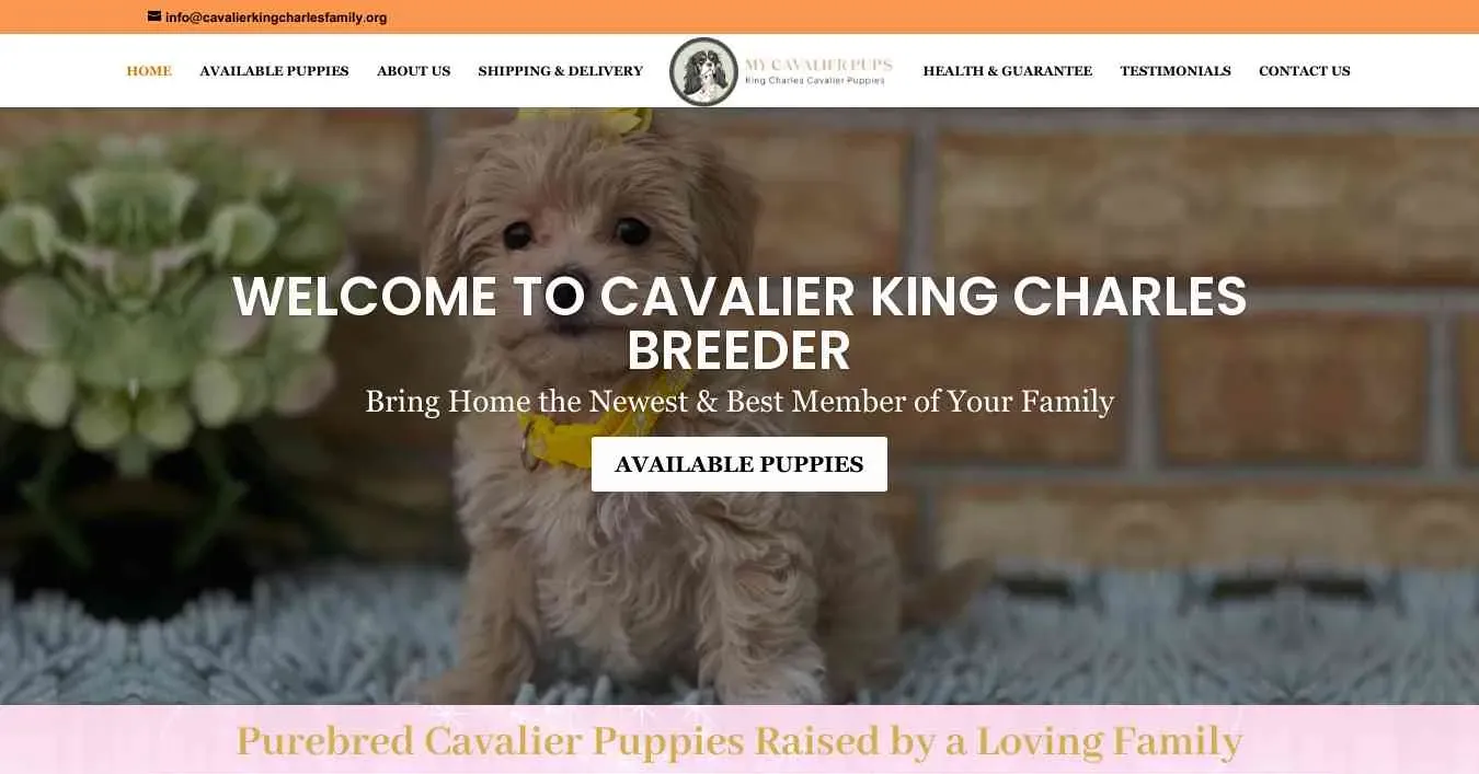 is cavalierkingcharlesfamily.org legit? screenshot