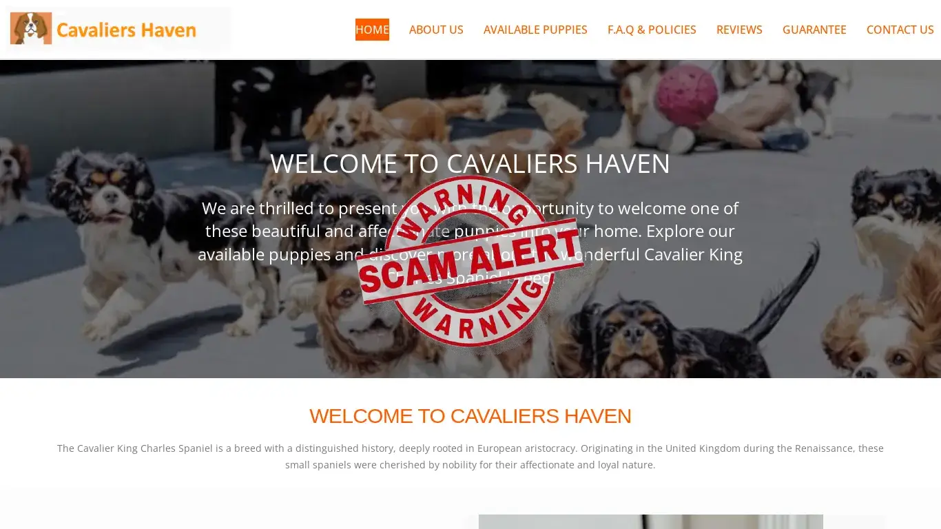 is Cavaliers Haven – Cavaliers Haven family legit? screenshot