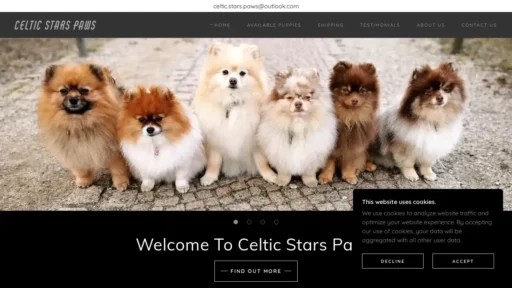 Scam Website Screenshot Celtic-stars-paws.com