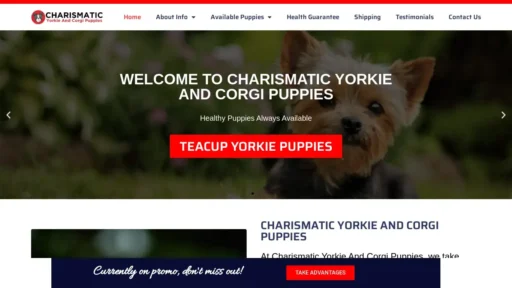 Scam Website Screenshot Charismaticyorkieandcorgipuppies.com