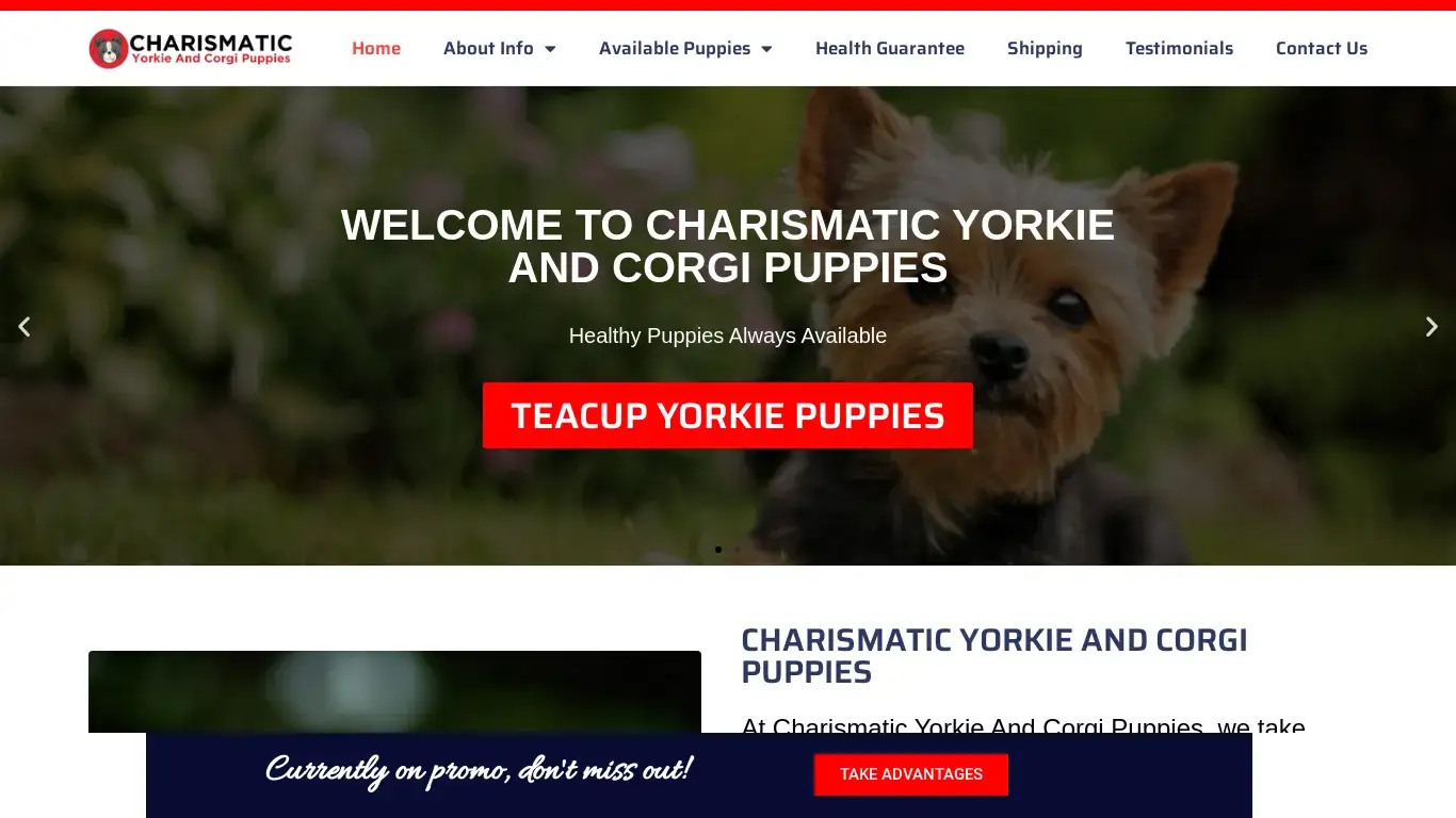 is Charismatic Yorkie And Corgi Puppies – Charismatic Yorkie And Corgi Puppies legit? screenshot