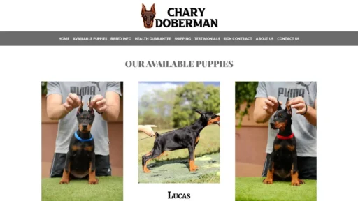 Scam Website Screenshot Charydoberman.com