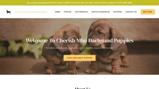 Scam Website Screenshot Cherishminidachshundpuppies.com