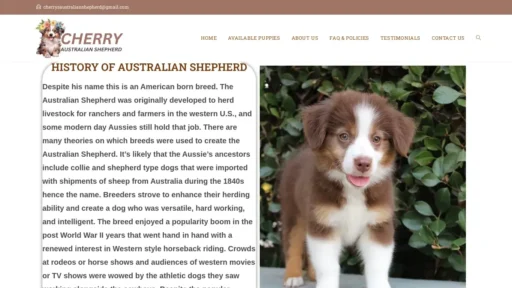 Scam Website Screenshot Cherryaustralianshepherd.com