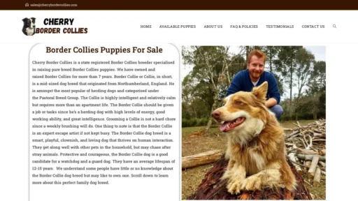 Scam Website Screenshot Cherrybordercollies.com