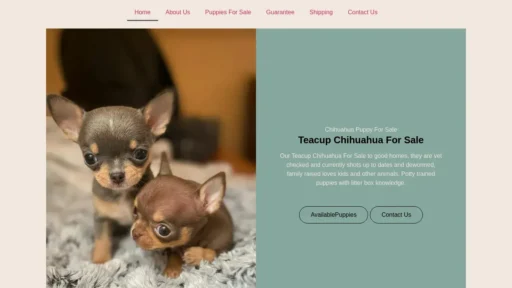 Scam Website Screenshot Chihuahuapuppiesonsale.com