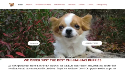 Scam Website Screenshot Chihuahuatales.com