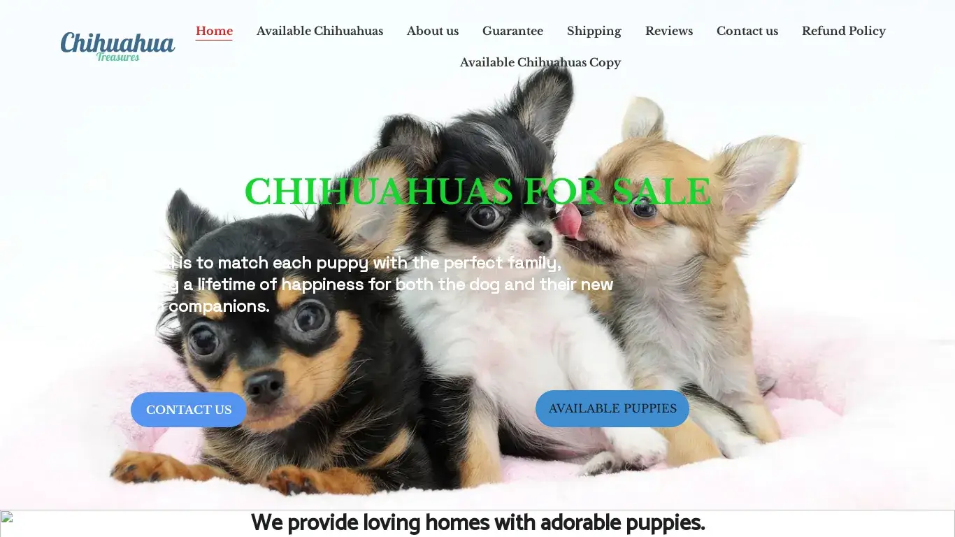 is Adorable Teacup Chihuahuas for Sale. | Adorable Chihuahuas legit? screenshot