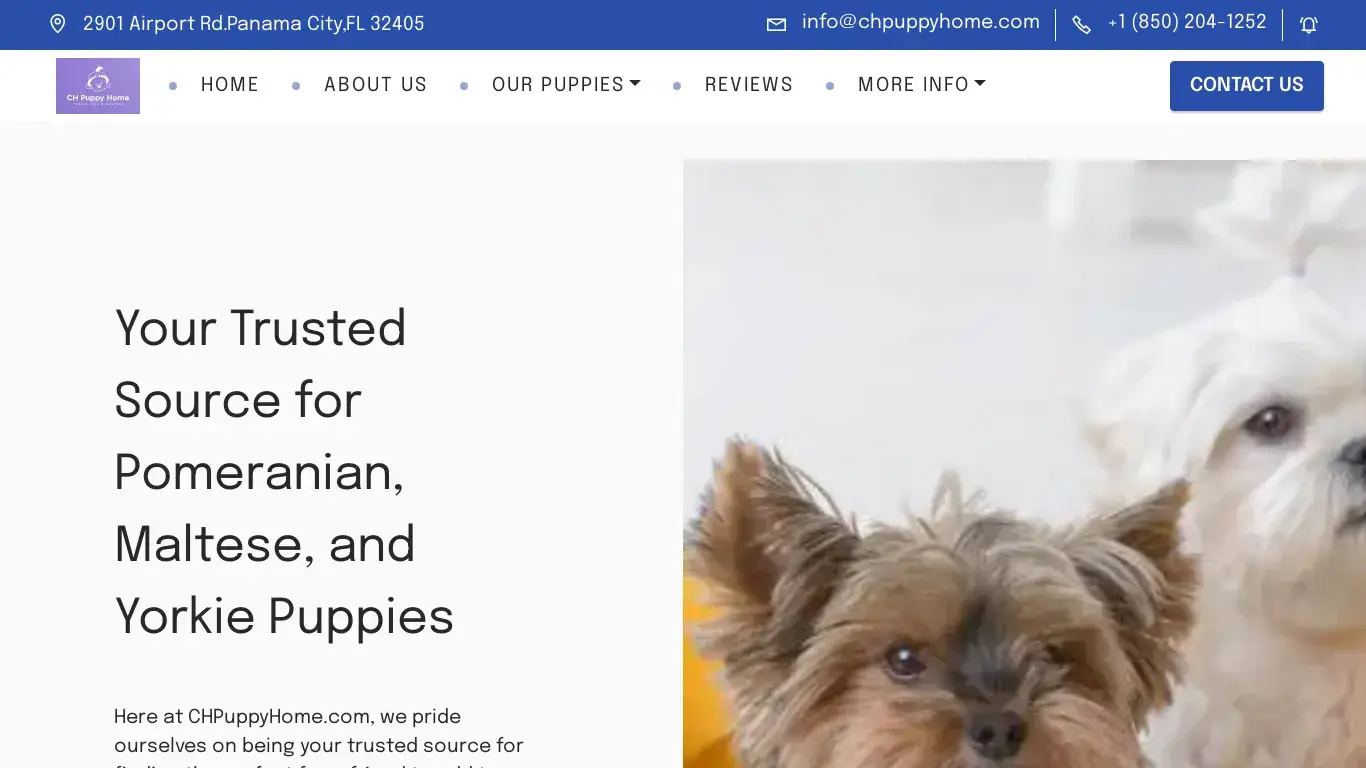 is Your Trusted Source for Pomeranian, Maltese, and Yorkie Puppies legit? screenshot