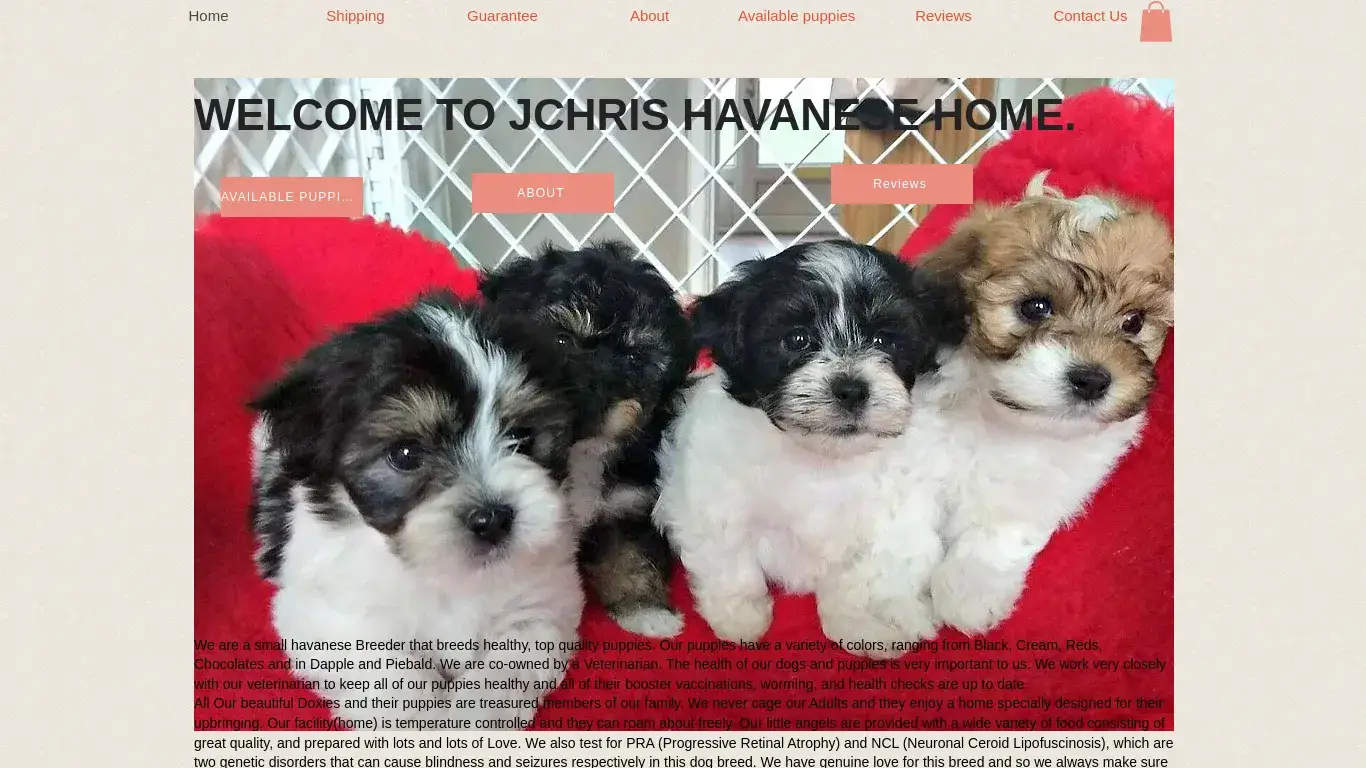 is Home | Chris Havanese legit? screenshot