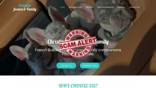 Scam Website Screenshot Christinajessicaandfamily.com