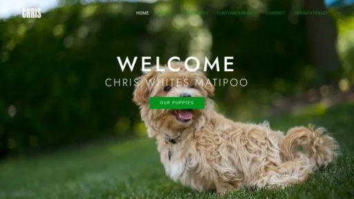 Scam Website Screenshot Chriswhitesmaltipoo.shop