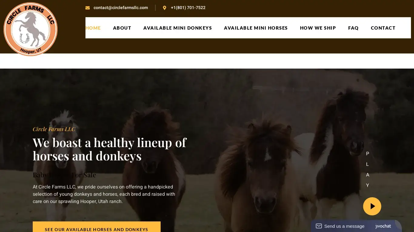 is Mini Horses And Donkeys For Sale - circleffarmsllc.com legit? screenshot