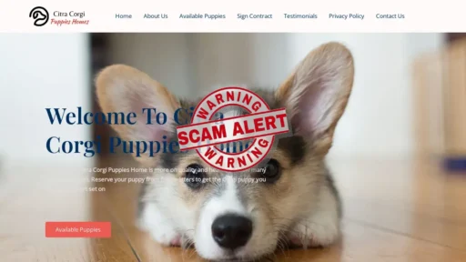 Scam Website Screenshot Citracorgipuppieshomes.com