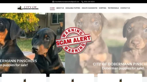 Scam Website Screenshot Cityofdobermannpinschers.com