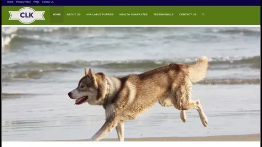 Scam Website Screenshot Clkhomehusks.com