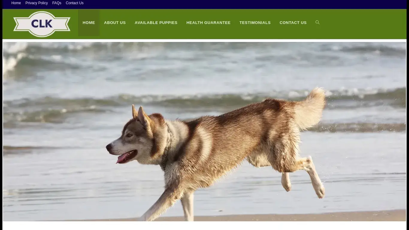 is Siberian Husky Puppies For Sale – Siberian Husky Puppies For Sale In Usa legit? screenshot