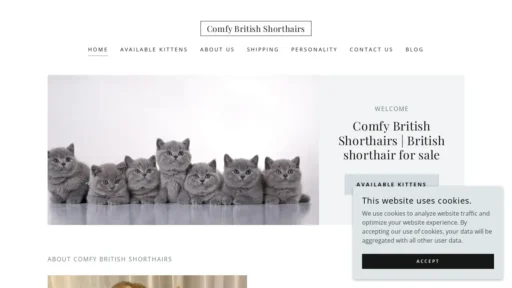 Scam Website Screenshot Comfybritishshorthaircattery.us