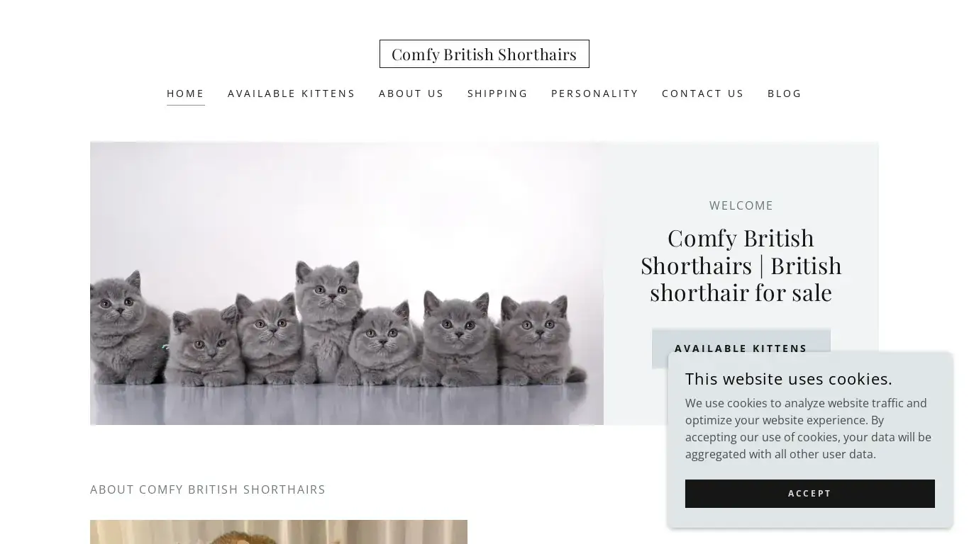 is British Shorthair Kittens for Sale - Find Your New Furry Friend Today legit? screenshot