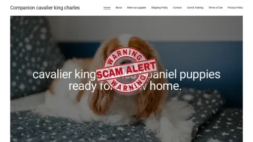 Scam Website Screenshot Companionkingcharles.com