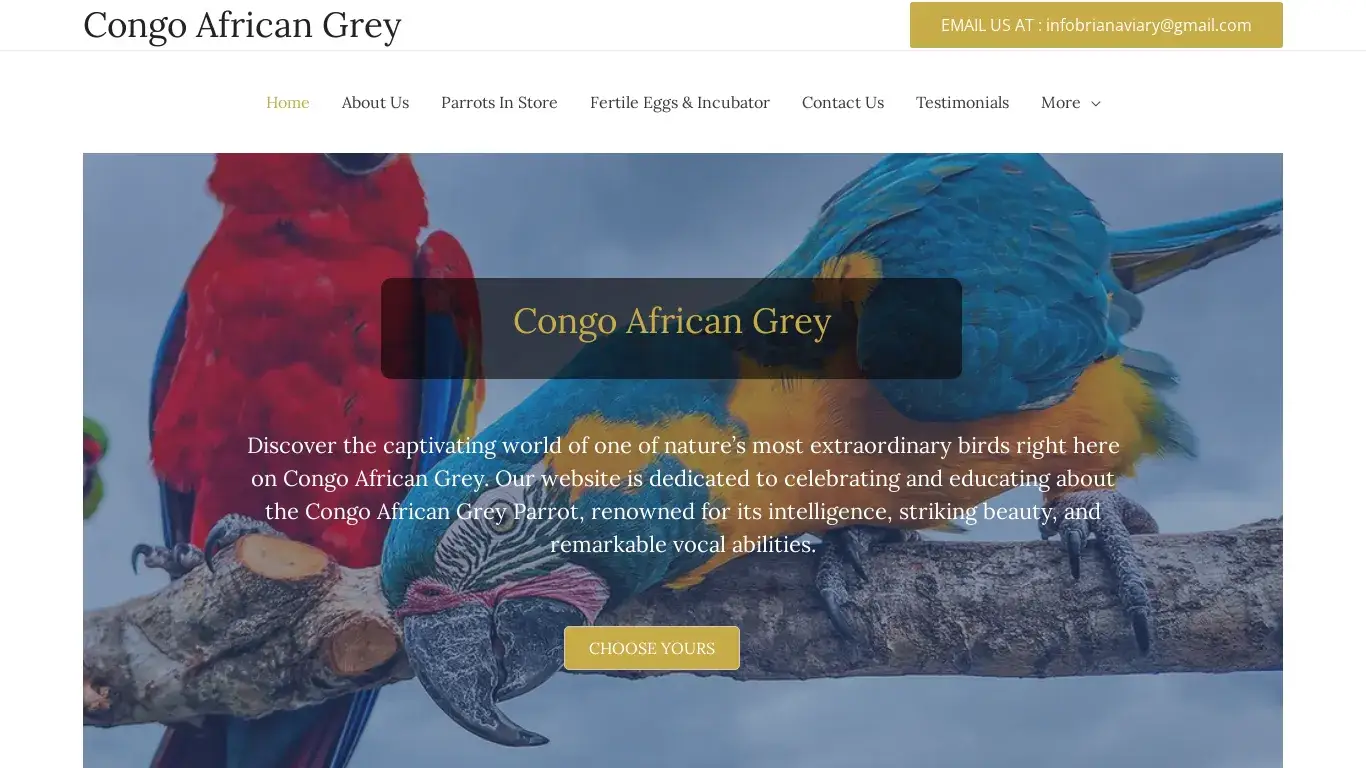 is Congo African Grey – Congo African Grey For Sale legit? screenshot